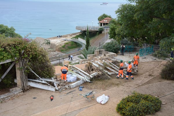 Operaris de la Brigada d'Intervenció Ràpida actuant a la pèrgola del Parc de les Granotes