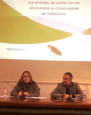 EMATSA INCREMENTARÁ LOS EQUIPOS DE INSPECCIÓN DE LA RED DE ALCANTARILLADO Y APLICARÁ INSECTICIDAS MENOS IRRITANTES Y MÁS DURADEROS