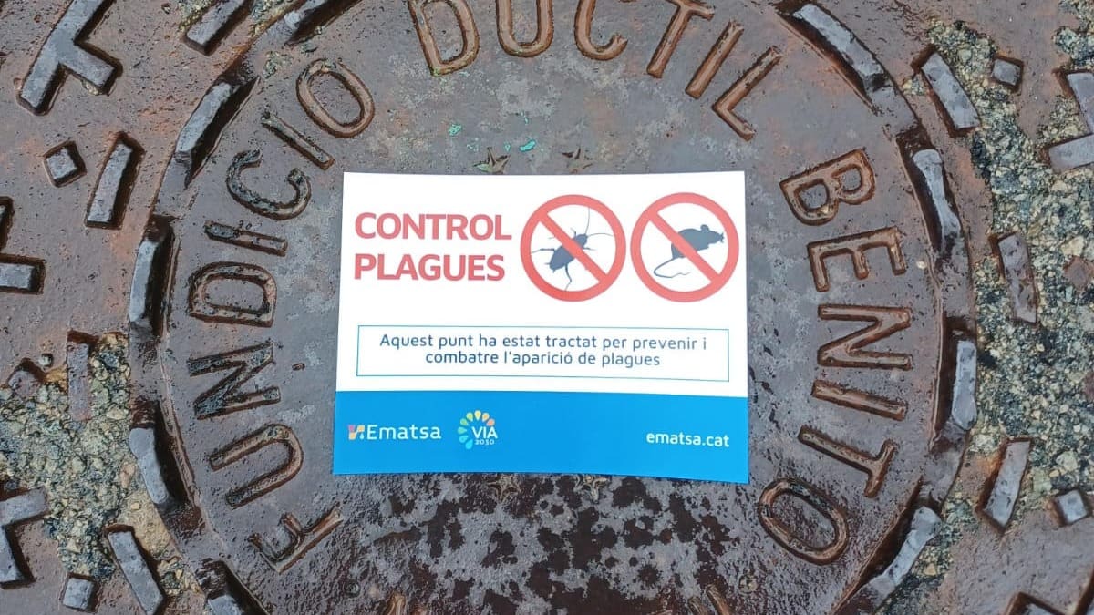EMATSA INCREMENTA UN 20% LES ACTUACIONS DE CONTROL DE PLAGUES AL CLAVEGUERAM 